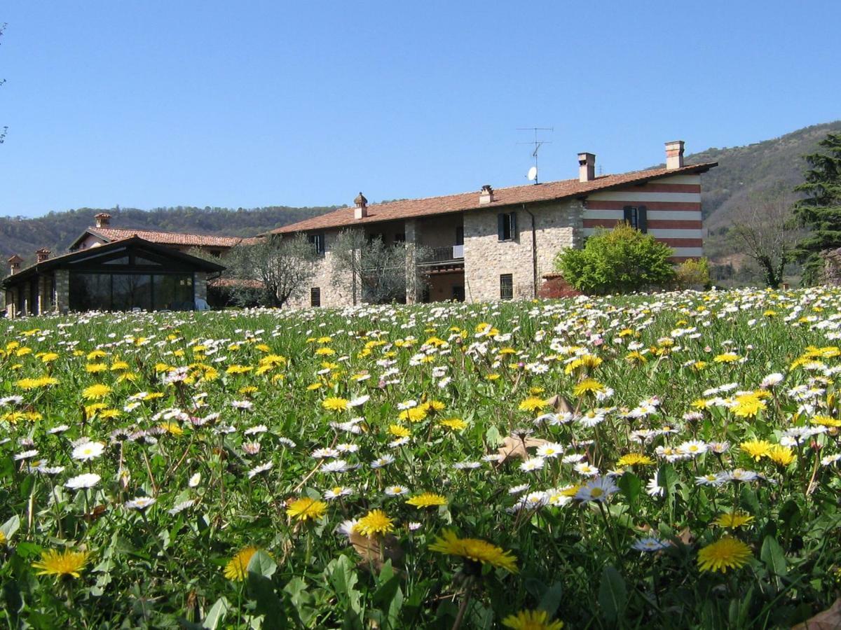 B&B Il Dosso Corte Franca Eksteriør billede